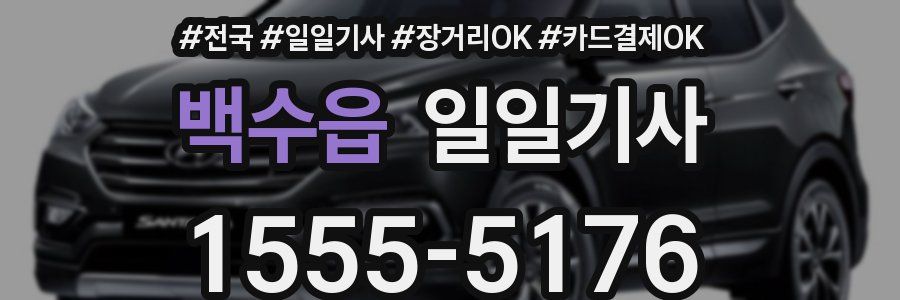 백수읍 일일기사