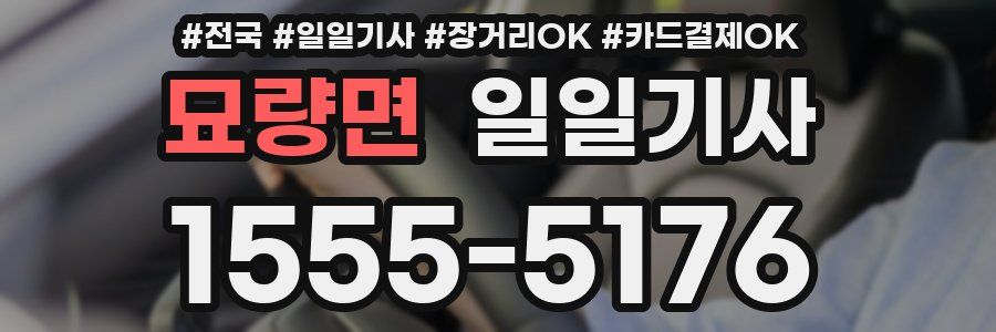 묘량면 일일기사