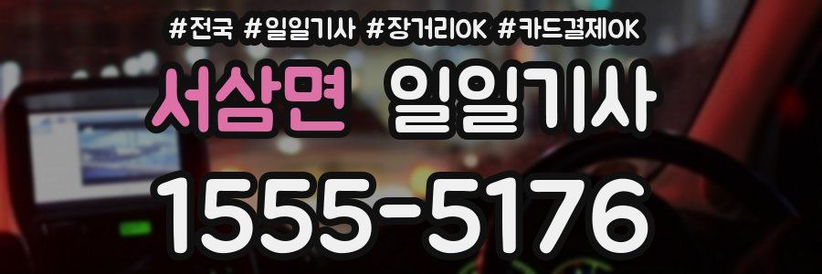 서삼면 일일기사