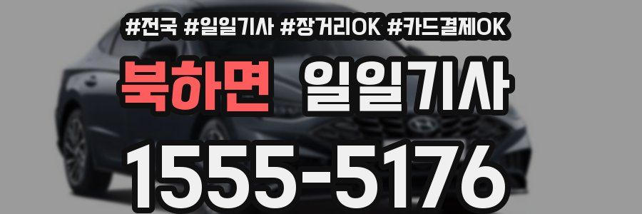 북하면 일일기사
