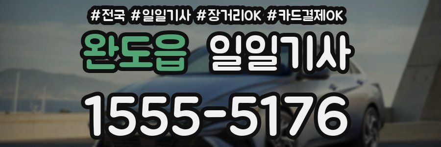 완도읍 일일기사