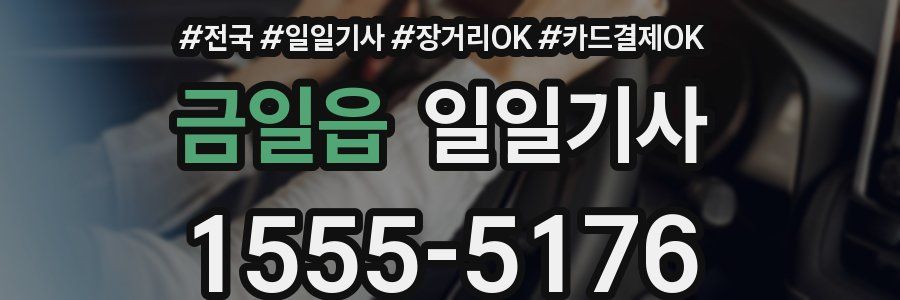 금일읍 일일기사