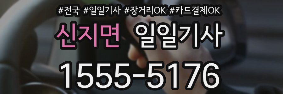 신지면 일일기사