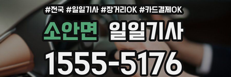 소안면 일일기사