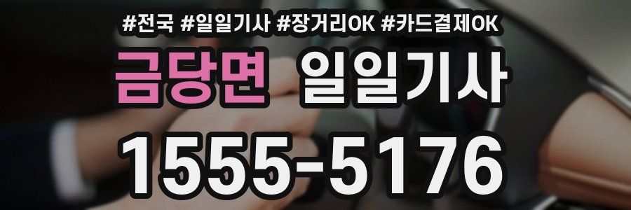 금당면 일일기사