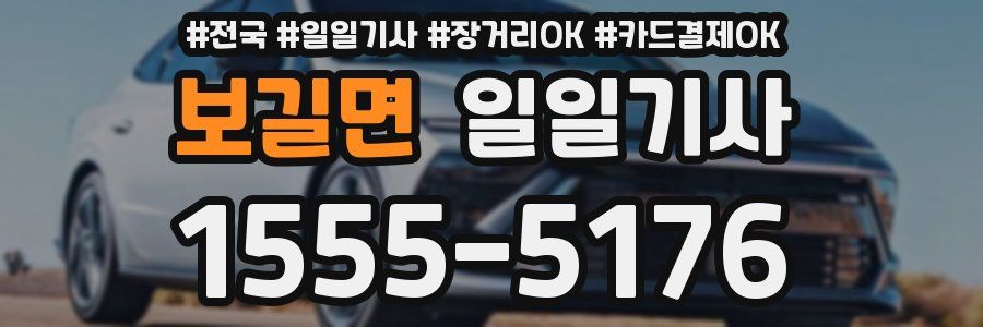 보길면 일일기사