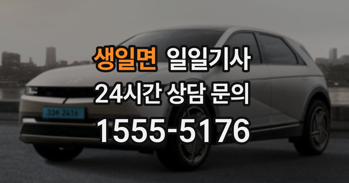 일일대리기사