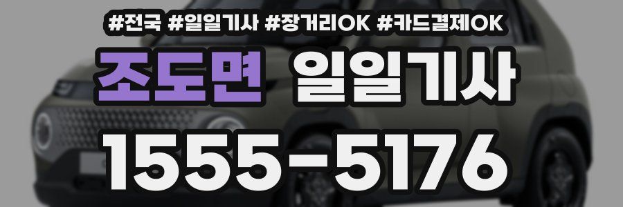 조도면 일일기사