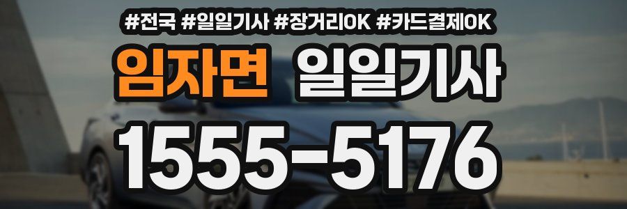 임자면 일일기사