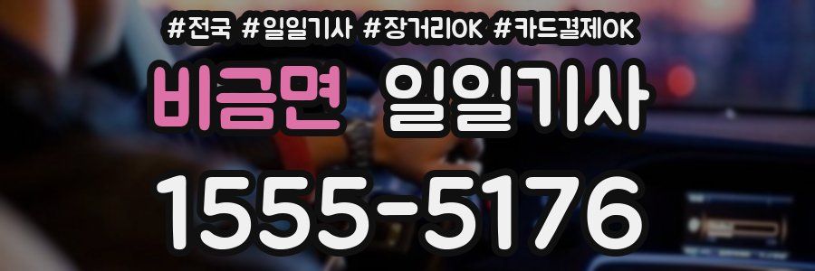 비금면 일일기사