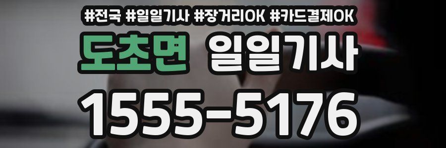 도초면 일일기사