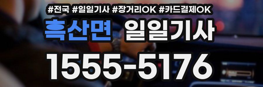 흑산면 일일기사