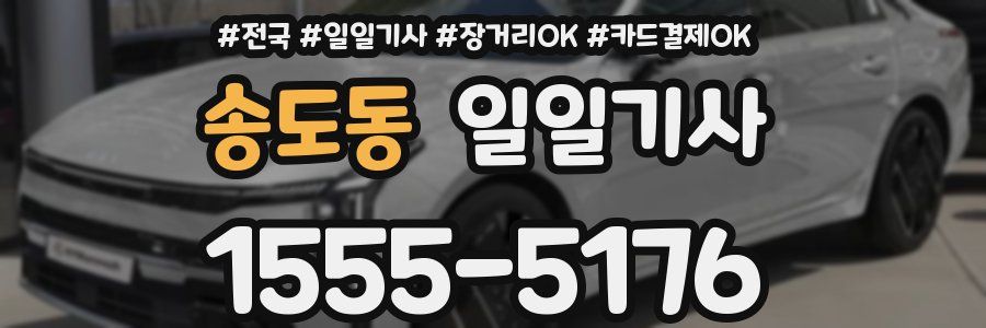 송도동 일일기사