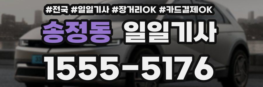 송정동 일일기사