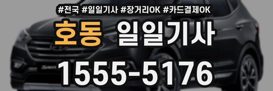 호동 일일기사