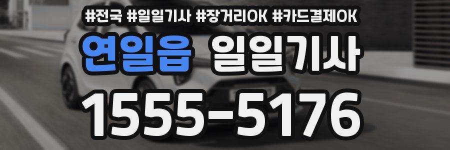 연일읍 일일기사