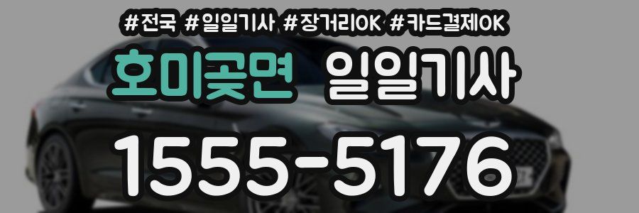 호미곶면 일일기사