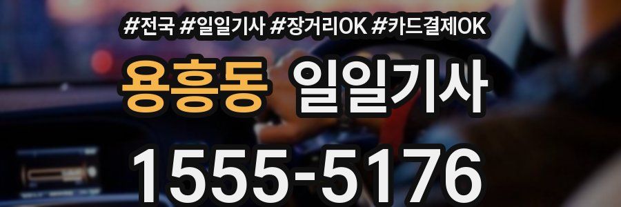 용흥동 일일기사