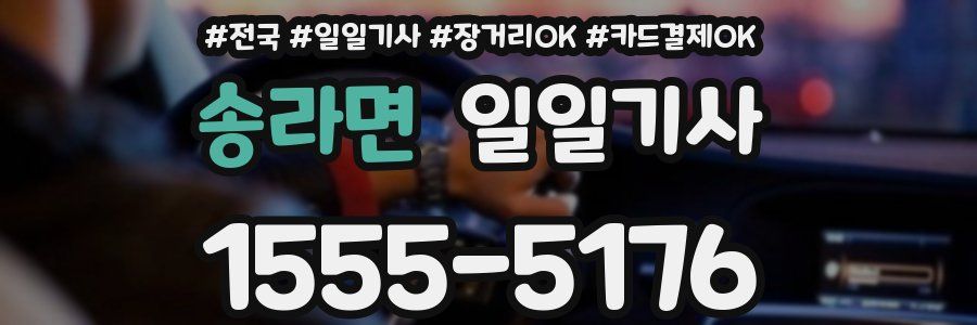 송라면 일일기사