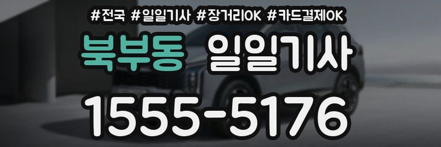 북부동 일일기사