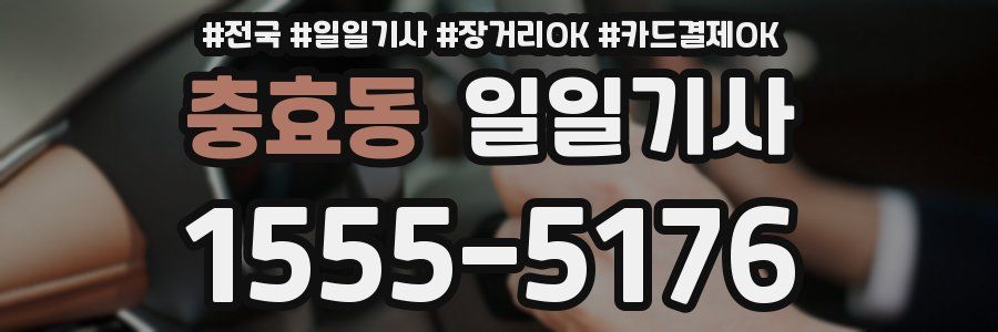 충효동 일일기사