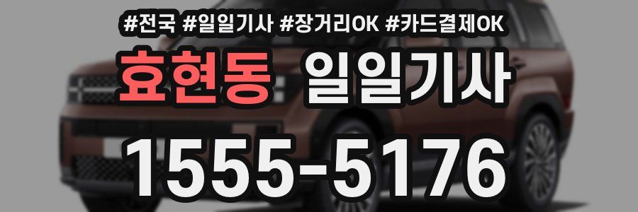 효현동 일일기사