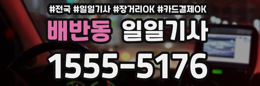 배반동 일일기사