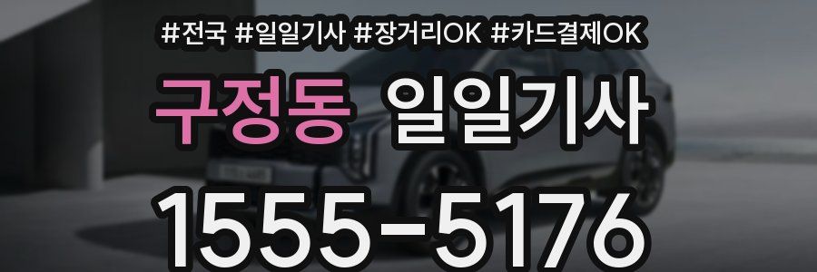 구정동 일일기사