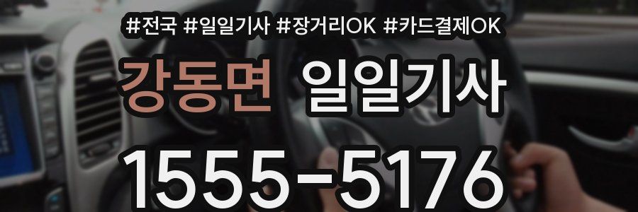 강동면 일일기사