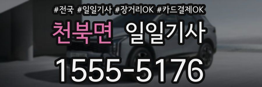 천북면 일일기사