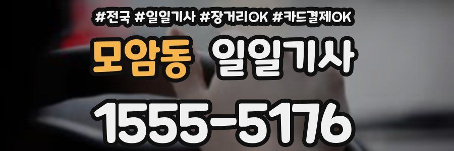 모암동 일일기사