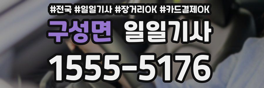 구성면 일일기사