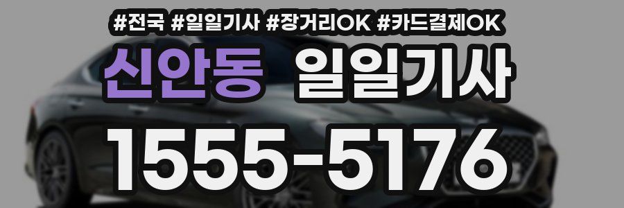 신안동 일일기사