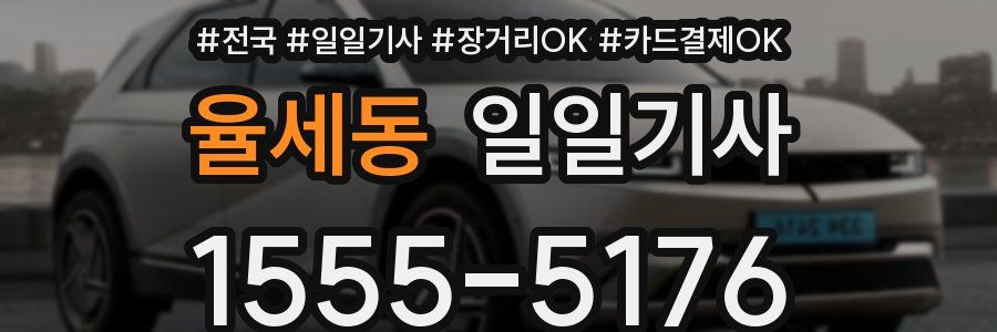 율세동 일일기사