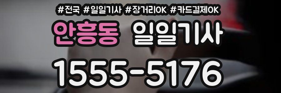 안흥동 일일기사