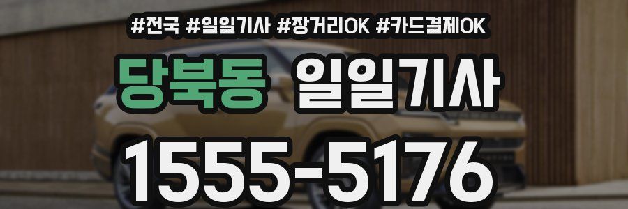 당북동 일일기사