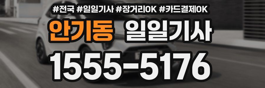 안기동 일일기사