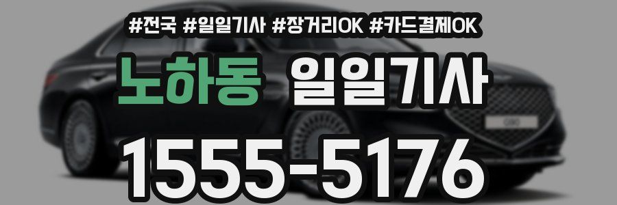노하동 일일기사