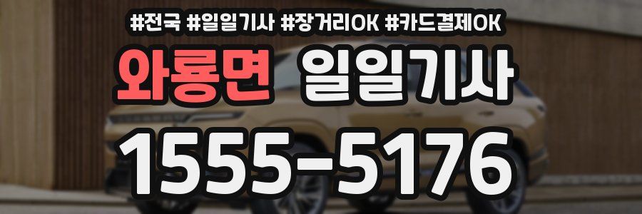 와룡면 일일기사