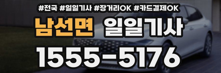 남선면 일일기사