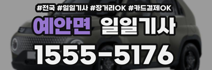 예안면 일일기사