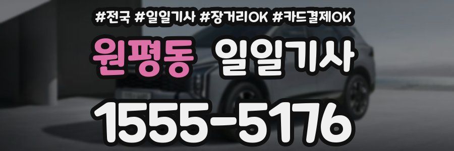 원평동 일일기사