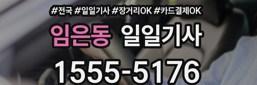 임은동 일일기사