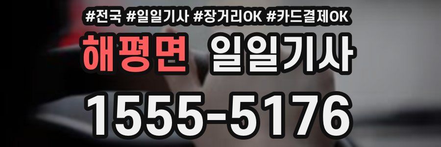 해평면 일일기사