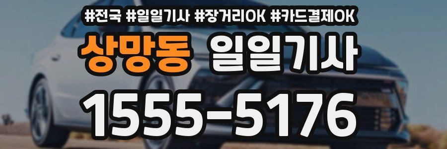 상망동 일일기사