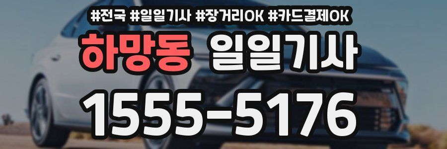 하망동 일일기사