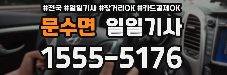 문수면 일일기사