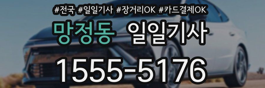 망정동 일일기사