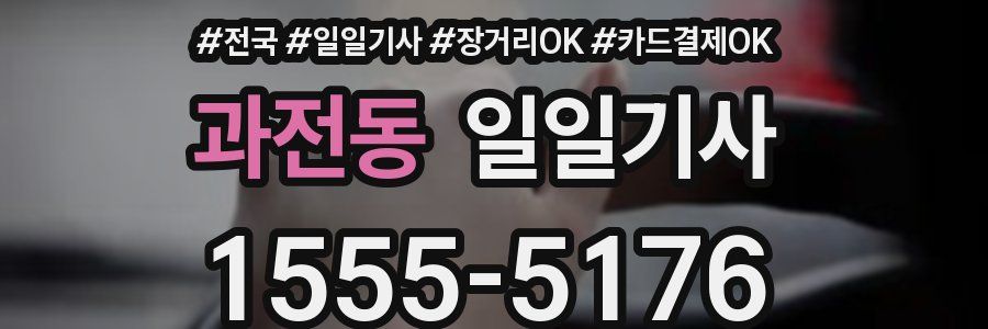 과전동 일일기사