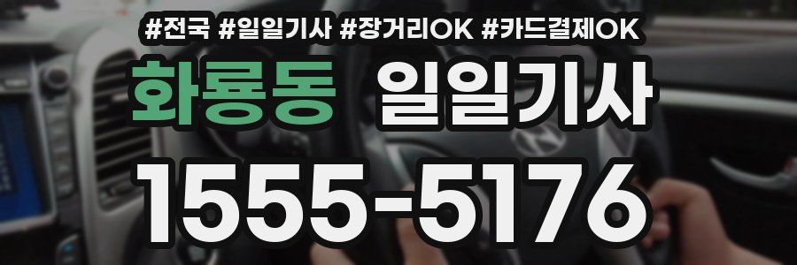 화룡동 일일기사